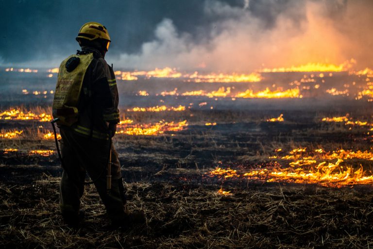 Chile: Declaran alerta en provincias de Corral y Valdivia por incontrolable incendios forestales