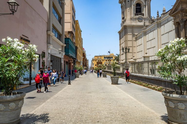 Consejo metropolitano aprueba por mayoría declarar al centro de Lima zona intangible