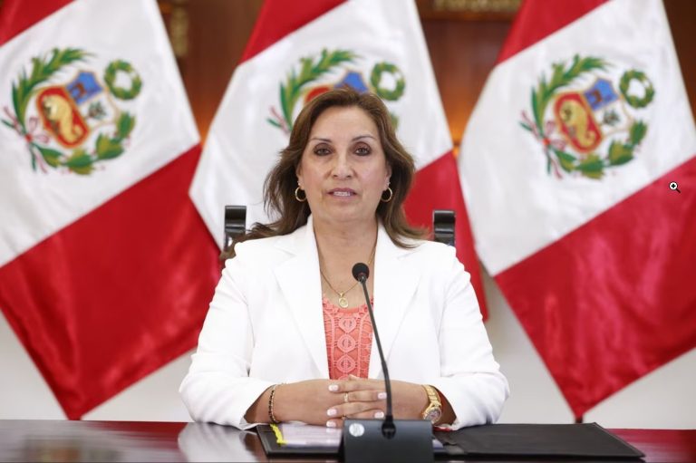 ¿Existe la posibilidad que Dina Boluarte ejerza la presidencia virtualmente?