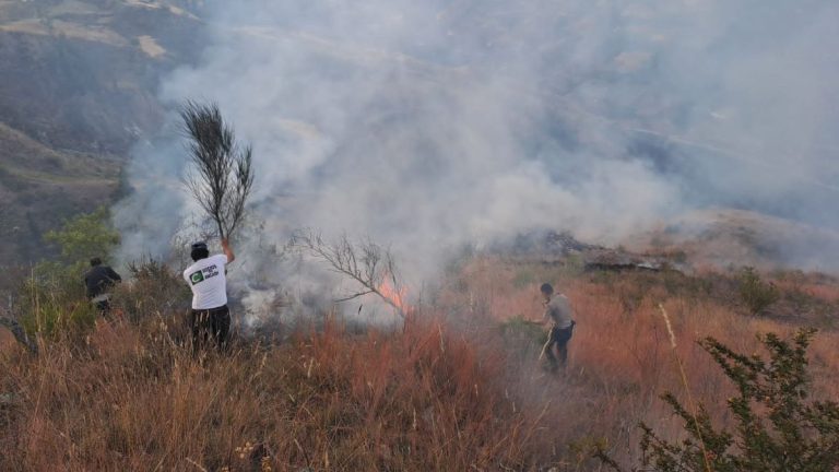 Áncash: 35 hectáreas de pastizal quemadas dejó el incendio forestal en Huari