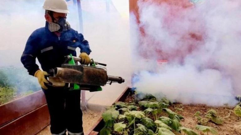 Fenómeno El Niño: cinco plagas amenazarían las regiones del norte y sur del Perú