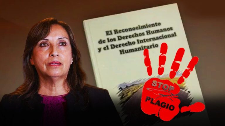 Dina Boluarte: Libro del cual es coautora registraría un 55% de plagio