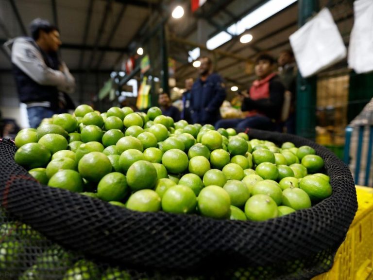 Limón llega al 80% del stock en el Mercado Mayorista de Lima