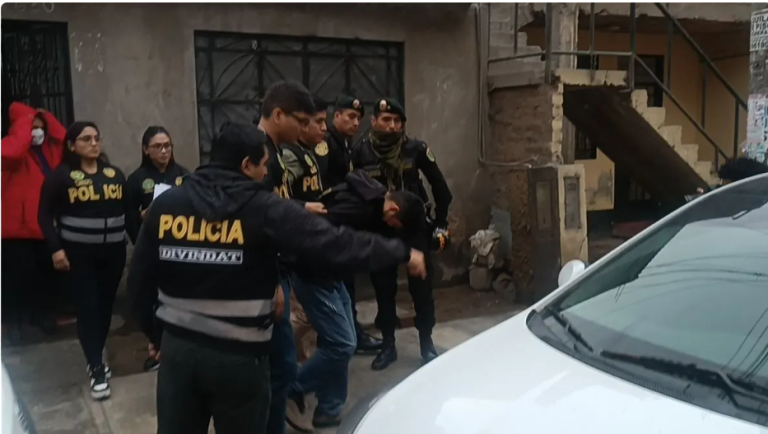En varios puntos de la Capital la PNP ejecutó operativos contra la pornografía infantil