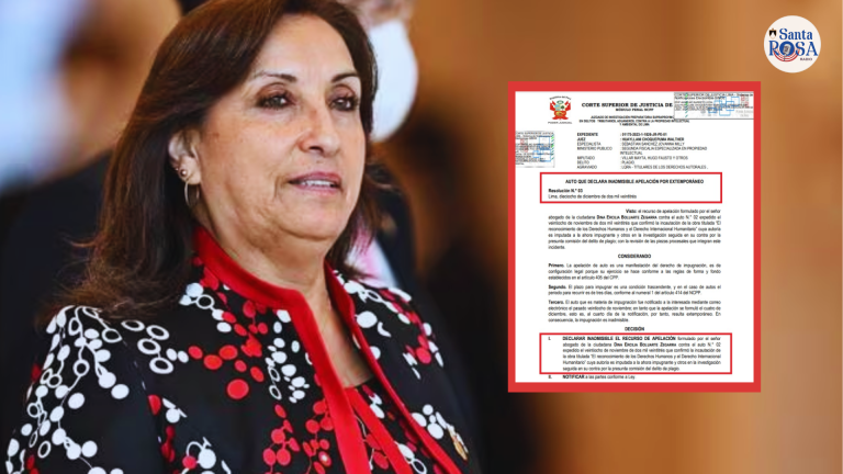 Dina Boluarte: PJ confirmó la incautación del libro de la mandataria por el presunto delito de plagio
