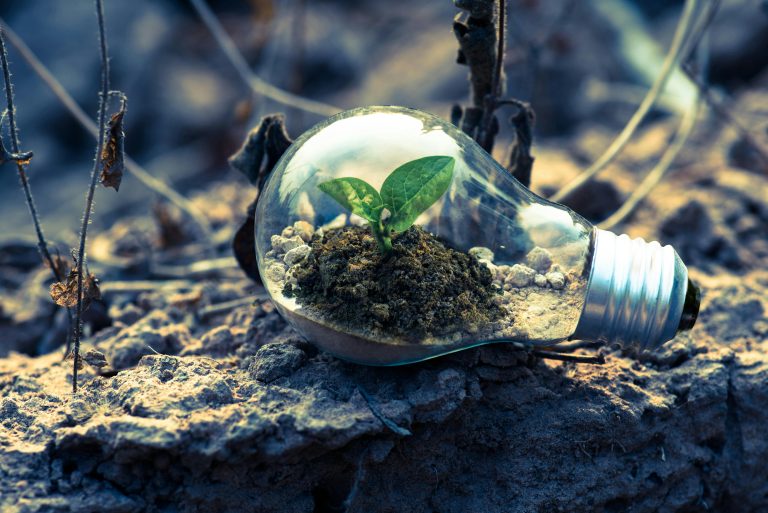 El uso de las tecnologías verdes es una necesidad urgente para construir un mundo más sostenible y resiliente.