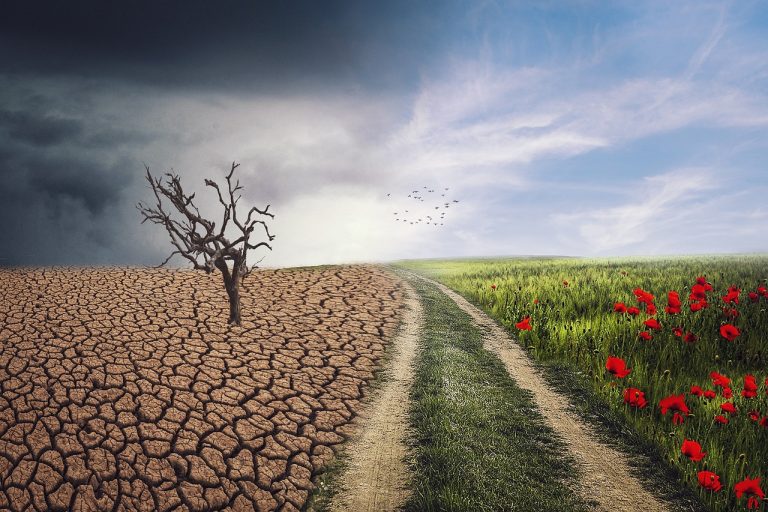 El cambio climático amenaza la biodiversidad y afecta la seguridad alimentaria.