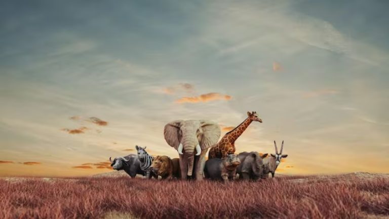 Animales en peligro de extinción