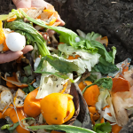 Tu cocina más verde: aprende a hacer compost en casa Tu cocina más verde: aprende a hacer compost en casa