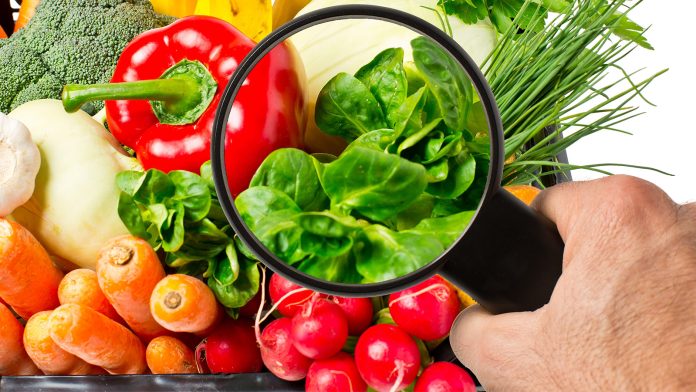 Alimentos seguros, familias sanas