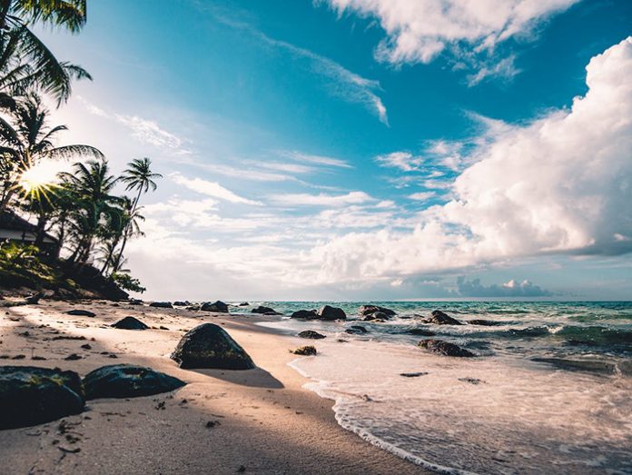 Día mundial de las playas: El rol de cada persona en la conservación
